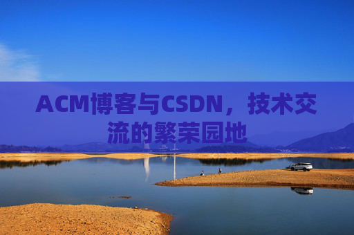 ACM博客与CSDN，技术交流的繁荣园地